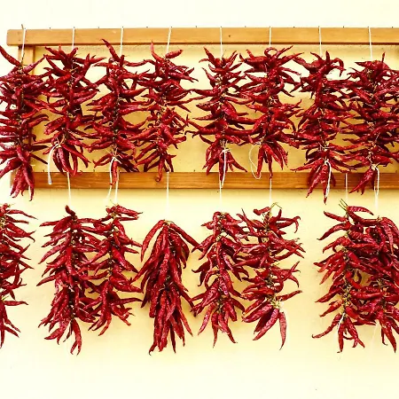 Hotel Parthenius Di Diamante 4*